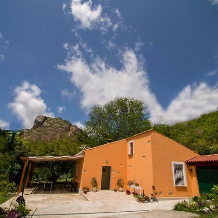 Aiello Calabro B&B Casa Vacanze Benvenuti Al Sud מראה חיצוני תמונה