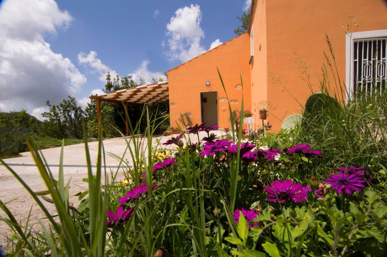 Aiello Calabro B&B Casa Vacanze Benvenuti Al Sud מראה חיצוני תמונה