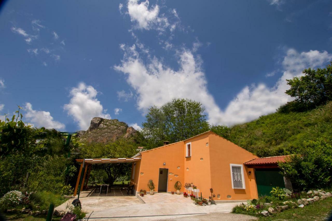 Aiello Calabro B&B Casa Vacanze Benvenuti Al Sud מראה חיצוני תמונה